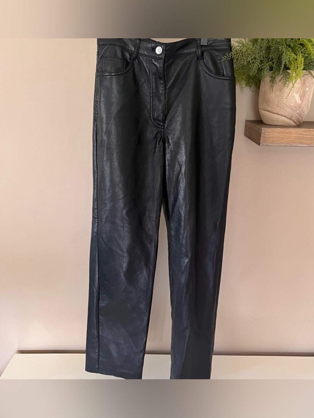 Aritzia Wilfred Faux Leather Pants